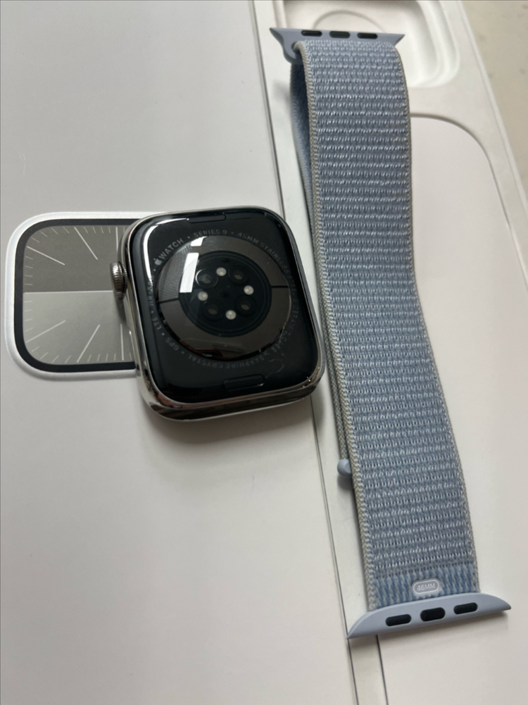 애플워치9스테인리스 실버 45mm SSS급 이미지