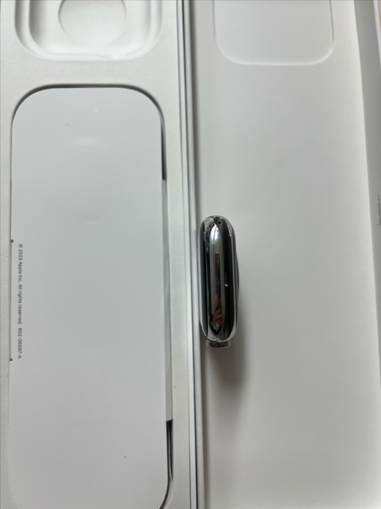 애플워치9스테인리스 실버 45mm SSS급 이미지