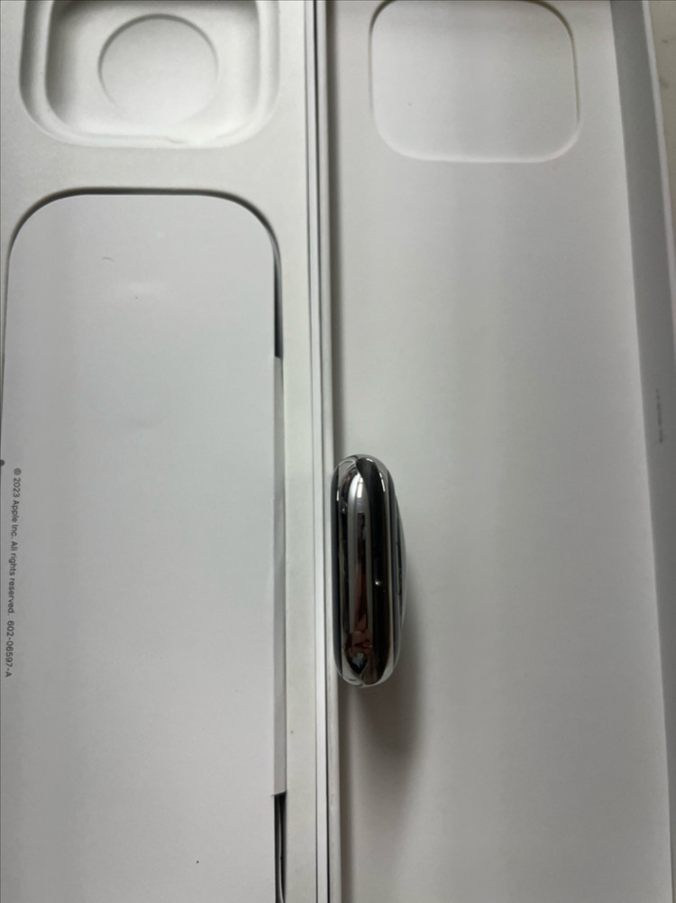 애플워치9스테인리스 실버 45mm SSS급 이미지