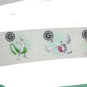 이로치 전포 3마리 포켓몬스터 스칼렛 바이올렛 소드 실드 닌텐도 스위치2 포챔스 za 이미지