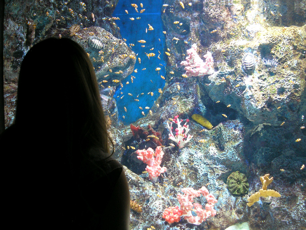 올림푸스 FE-120 빈티지 카메라 작례O 이미지