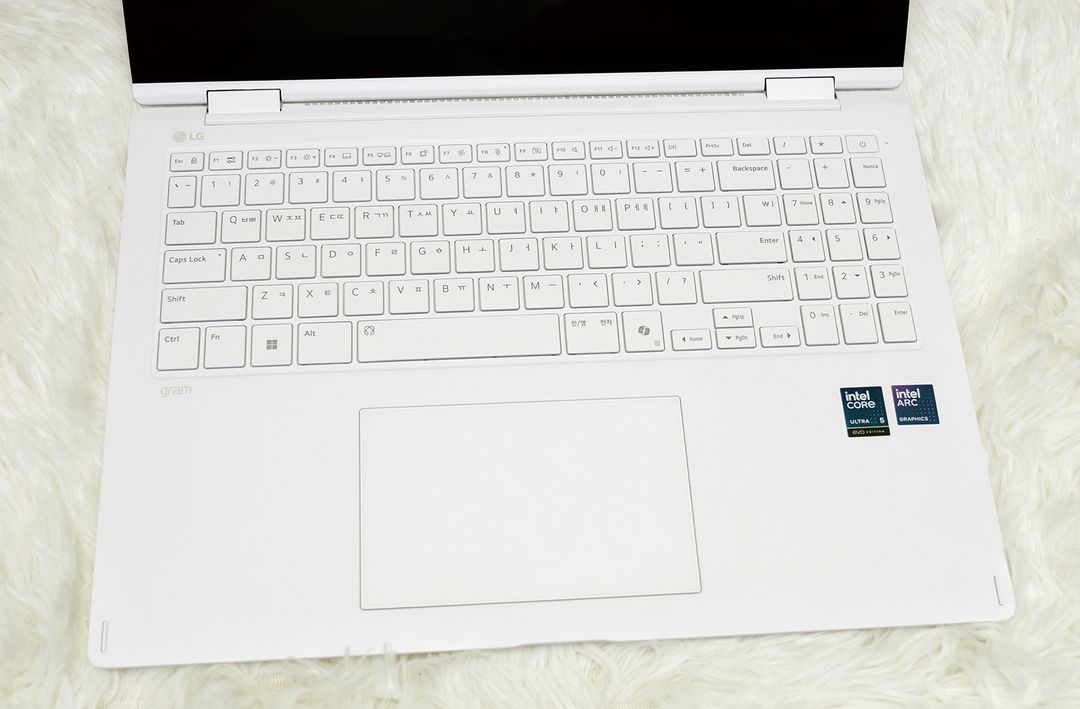 LG 2025 그램 프로 360 16T90TP-GA50K (ssd256) 이미지