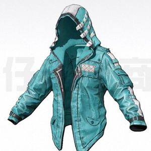 배그 민트 후드 자켓 스킨 코드 이미지