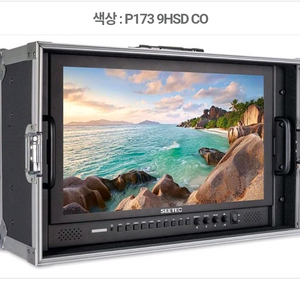 새상품> 17인치 4K 필드모니터 SEETEC P173 9HSD 하드케이 스 이미지