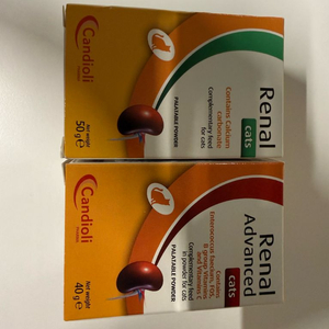 레날어드밴스드 캣/ 레날 캣 이미지