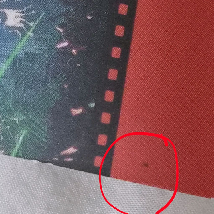 요아소비 앨범 더 북, 아이돌 앨범, 특전 인덱스 5종 일괄 이미지