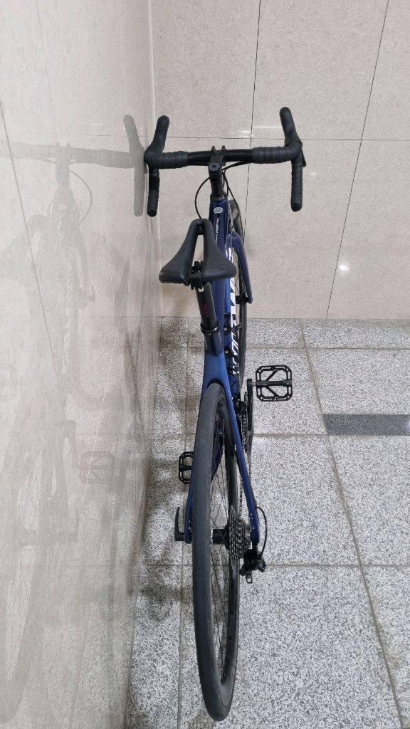 위아위스 프로스트C 이미지