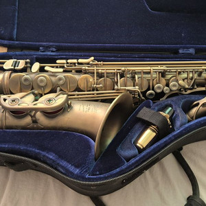 폴모리아 PMXA-66RX 알토 색소폰 이미지