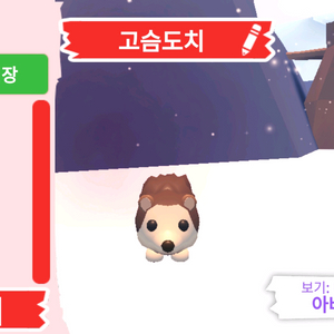 입양하세요 팻 고슴도치 (도치) 입양하세요 팻 고슴도치 (도치) 팝니다 이미지