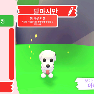 입양하세요 펫 달마시안(산강) 판매 합니다 이미지