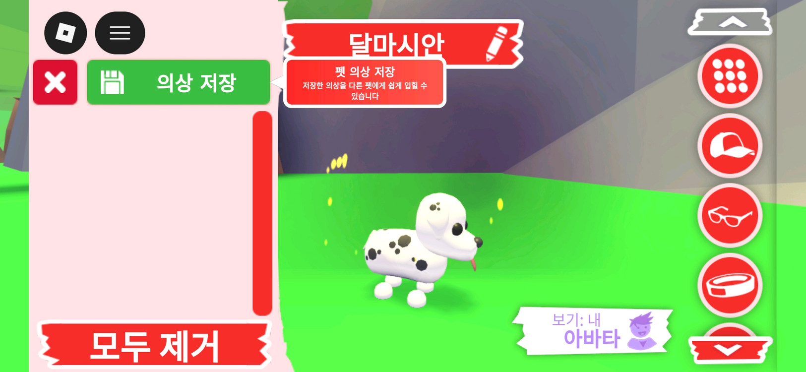 입양하세요 펫 달마시안(산강) 판매 합니다 이미지