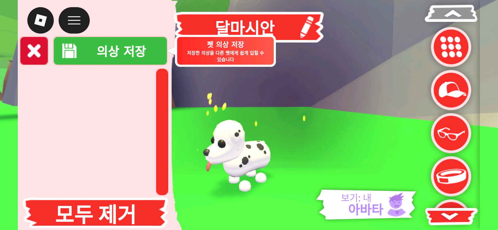 입양하세요 펫 달마시안(산강) 판매 합니다 이미지