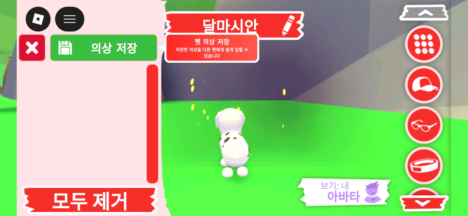 입양하세요 펫 달마시안(산강) 판매 합니다 이미지