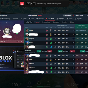 발로란트 레디언트 대리 이미지