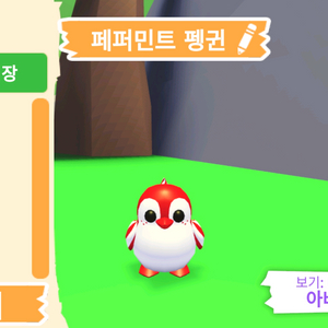 입양하세요 펫 페퍼민트 펭귄(페펭) 판매합니다 이미지