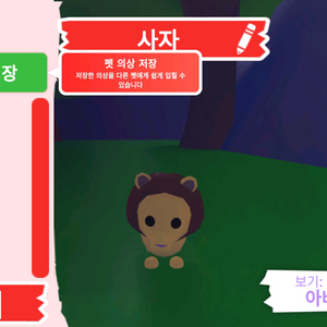 입양하세요 펫 사자 판매합니다 이미지