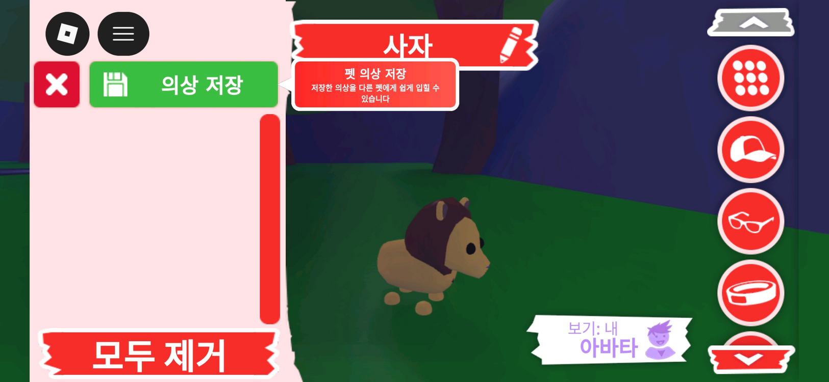 입양하세요 펫 사자 판매합니다 이미지