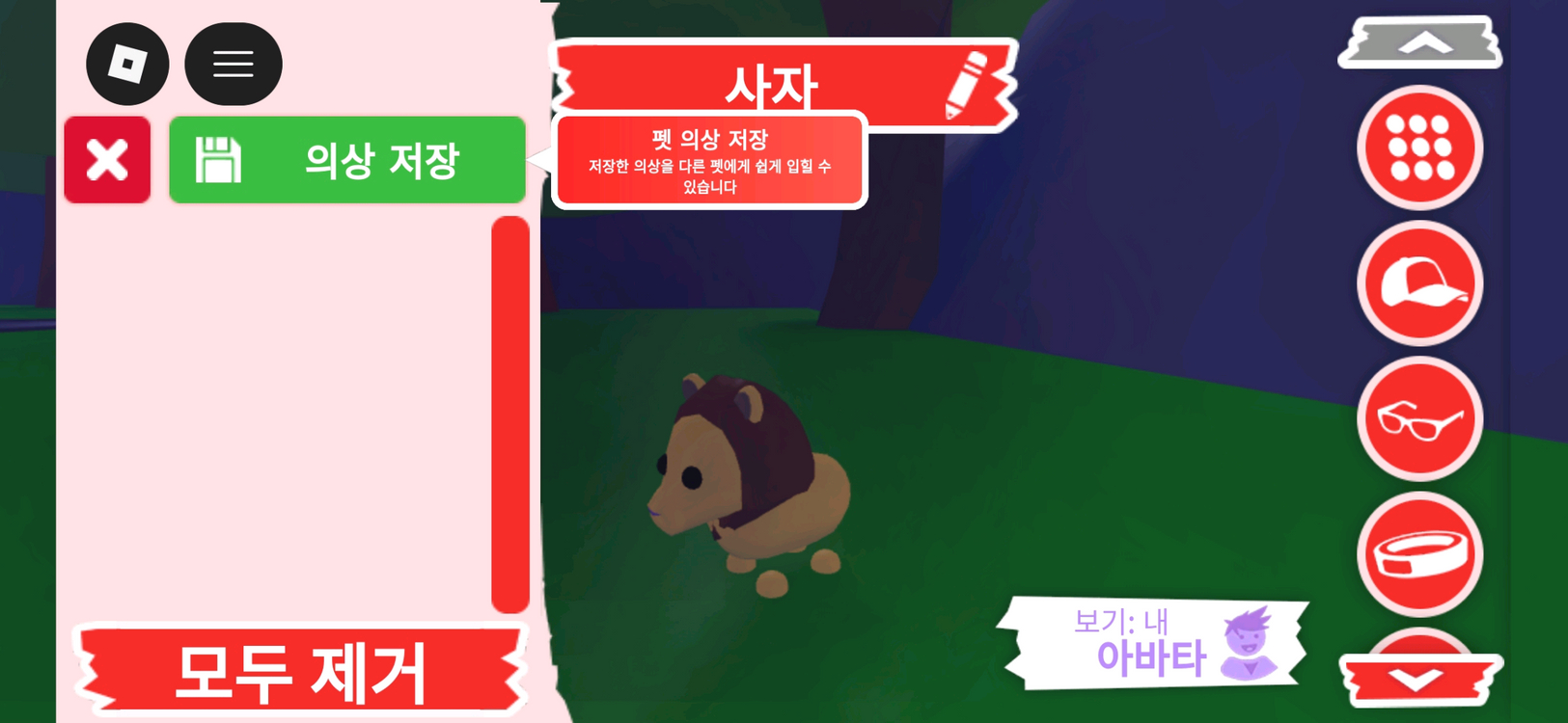 입양하세요 펫 사자 판매합니다 이미지