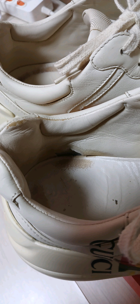 정품 구찌 라이톤 레더 스니커즈(260mm) 이미지