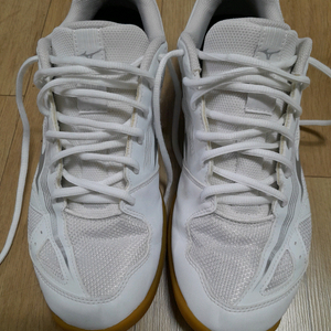 미즈노 남성275미리배드민턴화탁구화 이미지