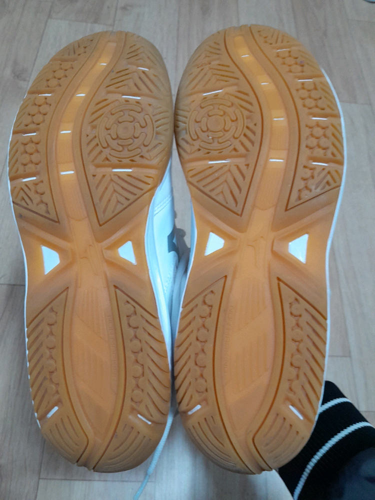 미즈노 남성275미리배드민턴화탁구화 이미지