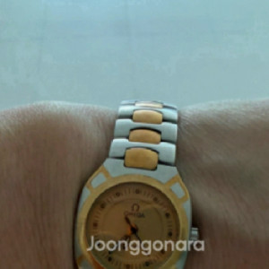 오메가 씨마스터 폴라리스18k 이미지