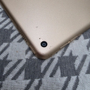 아이패드 프로 1세대 12.9 128기가 lte 이미지