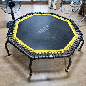 로베라 트램폴린 RT-3000 이미지