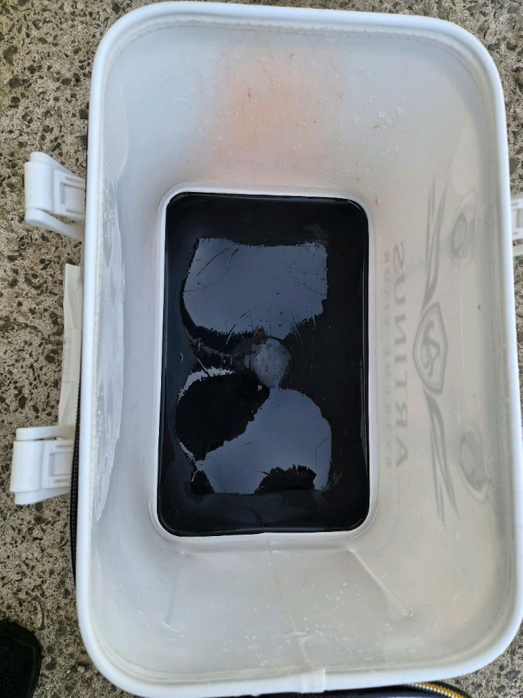 아티누스 바칸세트 이미지