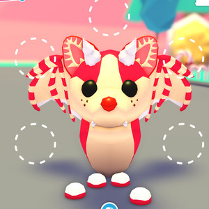 입양하세요 펫 날타 딸박팝니다. 이미지