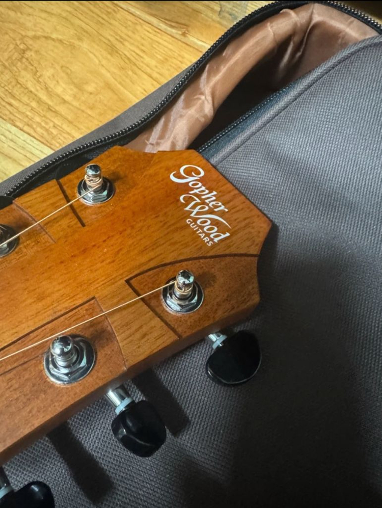 고퍼우드g110 팝니다 이미지