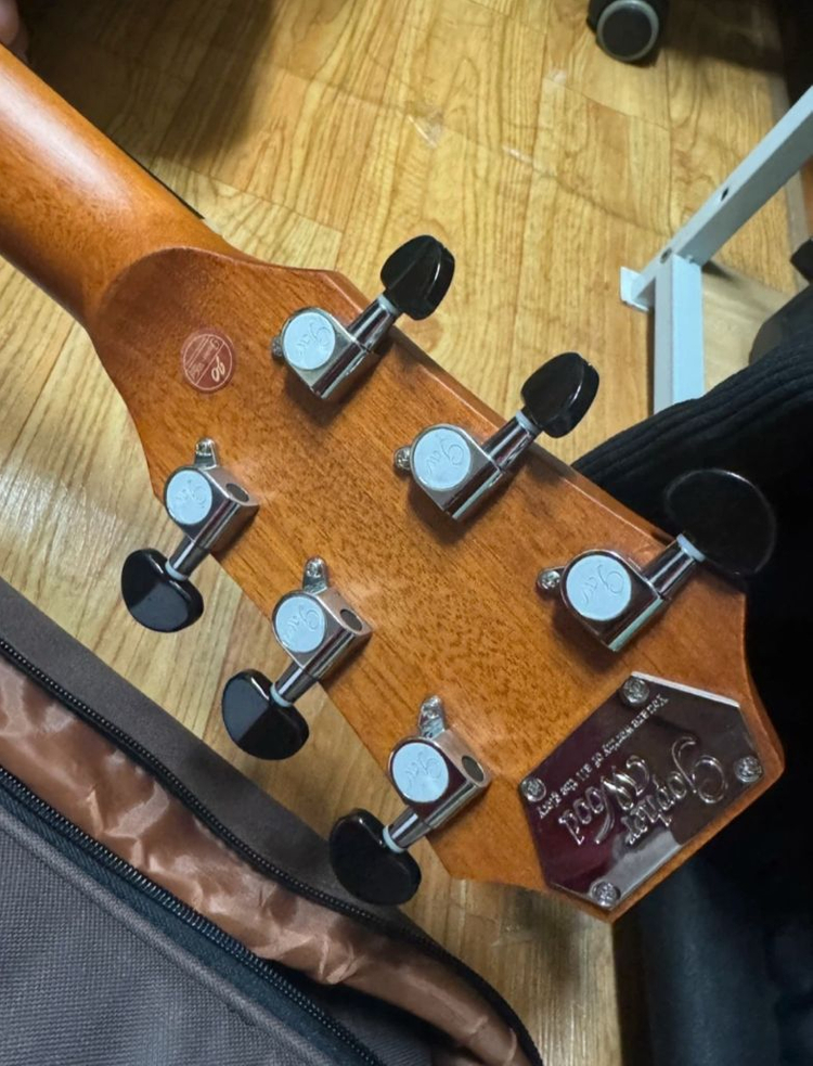 고퍼우드g110 팝니다 이미지