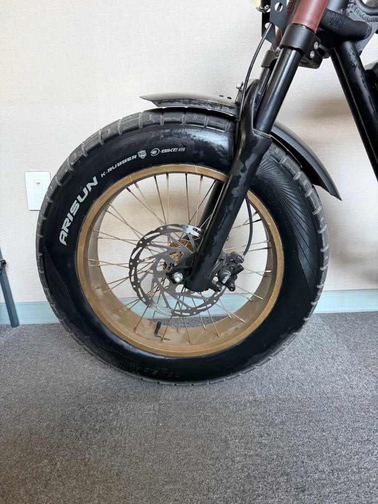 마이클블라스트 5.0 전기자전거 이미지