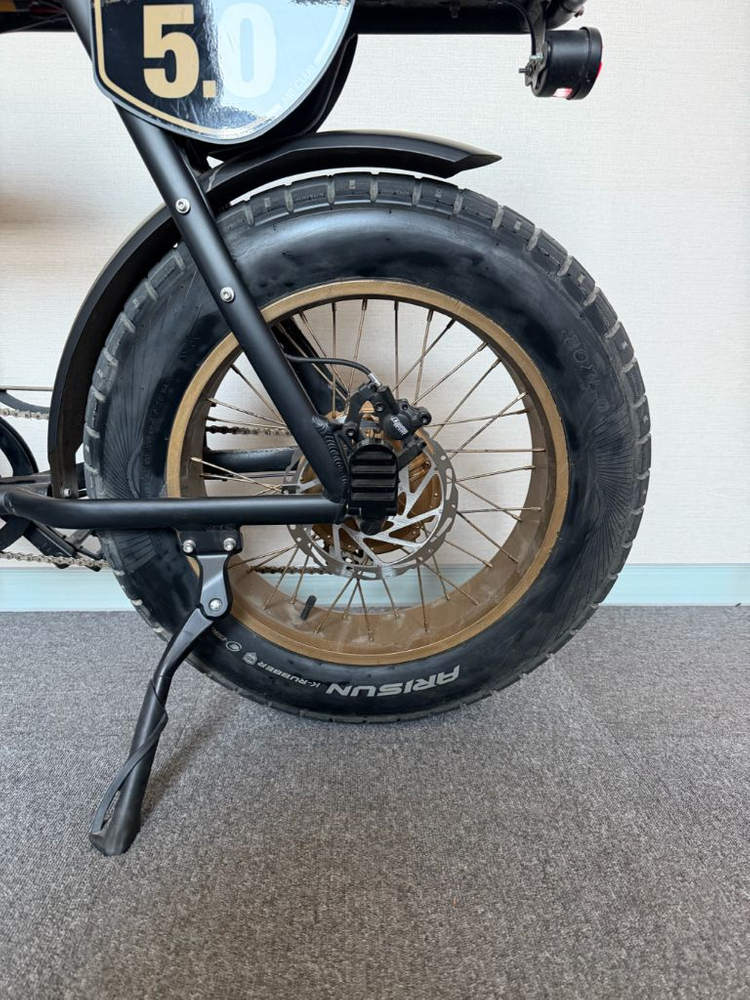 마이클블라스트 5.0 전기자전거 이미지