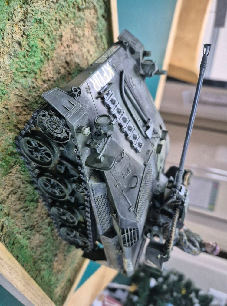 *각종교신가능*정밀도색프라모델(대형1/16디스플레이전용)RC카탱크호환&독일연방*비젤Mk2.0비네트작~바람에언덕에서 이미지