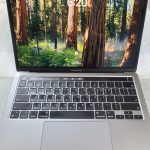 Apple MacBook Pro (13-inch, M1, 2020) 맥북프로 2020 (A2338) 이미지
