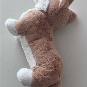 젤리캣/젤리켓 베티코기 이미지