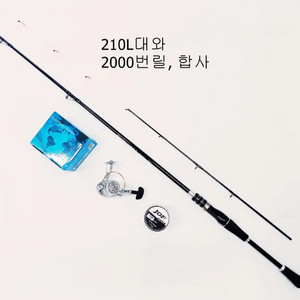 주꾸미,갑오징어,한치,화살촉오징어210L대+2000번릴+합사 이미지