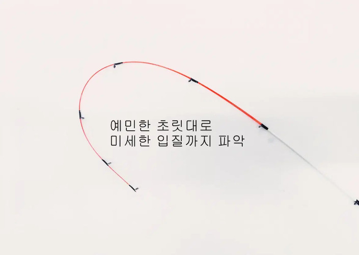 주꾸미,갑오징어,한치,화살촉오징어210L대+2000번릴+합사 이미지