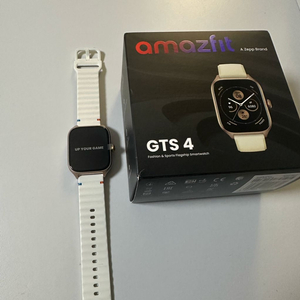 어메이즈핏 GTS4 (mini아님) 이미지