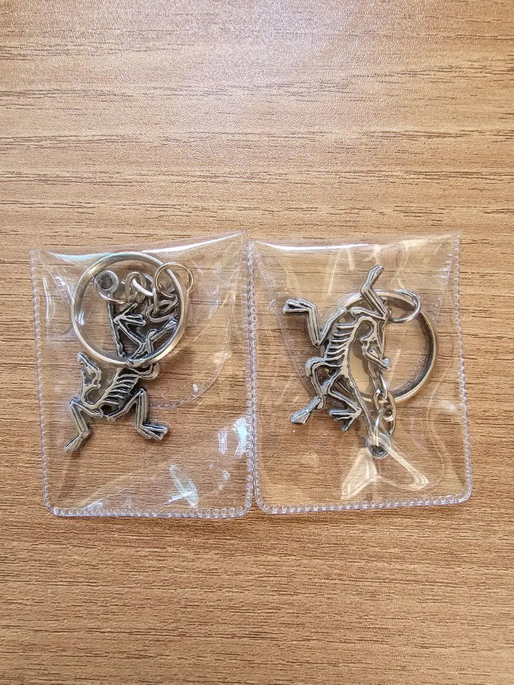 ( 서울 ) 아크테릭스 메탈 키링 2개 신품 이미지