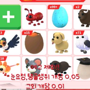 입양하세요 커먼등급 일반펫 정리 이미지