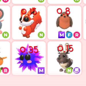 입양하세요 커먼등급 네온,메가 능펫정리 이미지