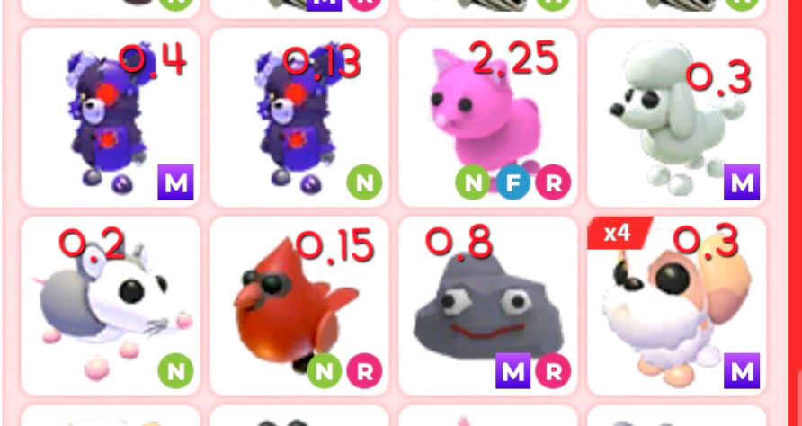 입양하세요 언커먼등급 네온,메가 능펫 정리 이미지