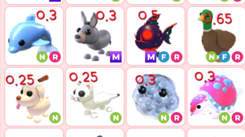 입양하세요 언커먼등급 네온,메가 능펫 정리 이미지