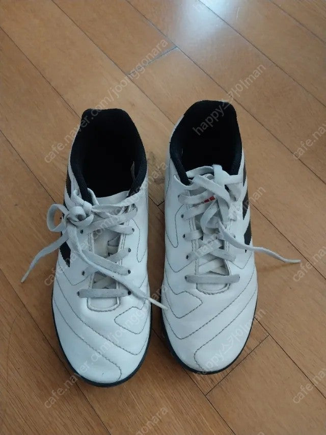 아디다스 아동 축구화 풋살화 이미지