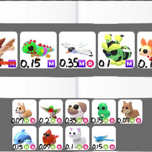 입양하세요 펫 이미지