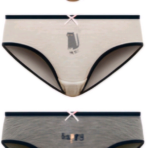 중고 팬티 중고 브라 판매 이미지