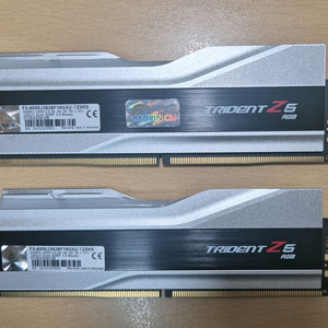 지스킬 트라이던트 실버 DDR5 32GB 6000MHz 램 서린 정품 이미지