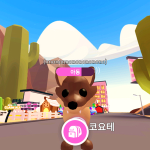 입양하세요 타는 코요테 이미지